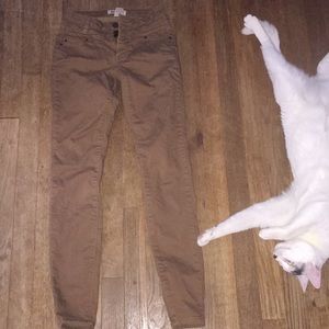 High waisted brown jeans